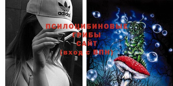 COCAINE Каменка