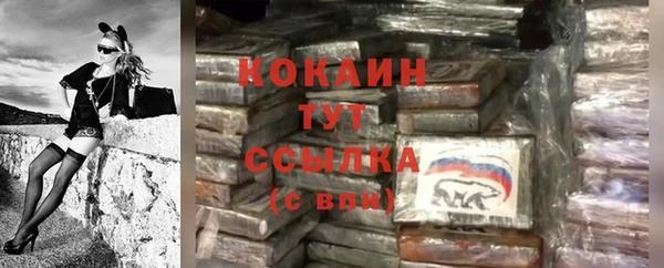 COCAINE Каменка