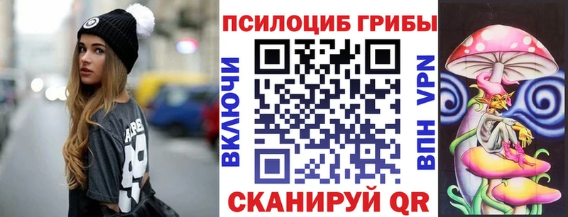как найти закладки  Брянск  Псилоцибиновые грибы мухоморы 
