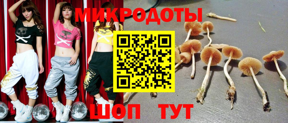 Галлюциногенные грибы Magic Shrooms  продажа наркотиков  Брянск  Вход с VPN 