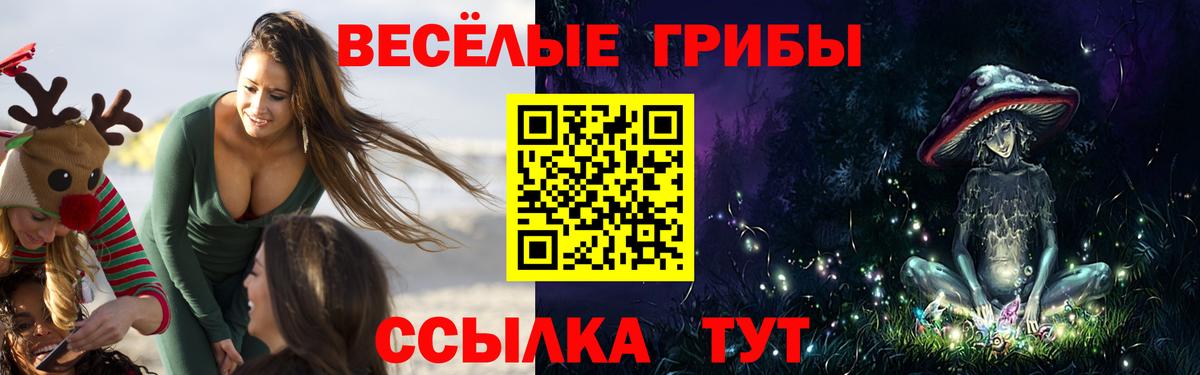 Галлюциногенные грибы ЛСД Брянск